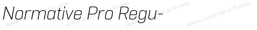 Normative Pro Regu字体转换